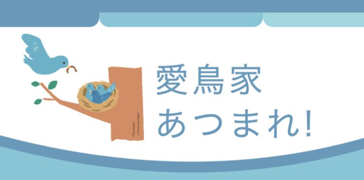愛鳥家あつまれ！